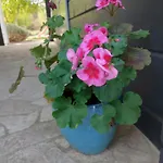 Bla Marine Nad Morzem Lodge Grzybowo (West Pomeranian)