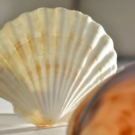 Bla Marine Nad Morzem *