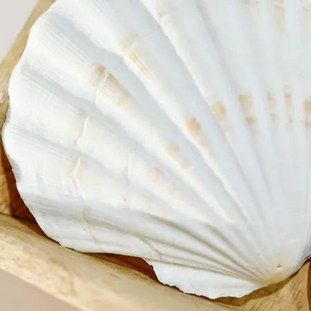 Bla Marine Nad Morzem Деревянный коттедж