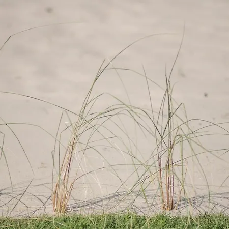 Bla Marine Nad Morzem Грзибово