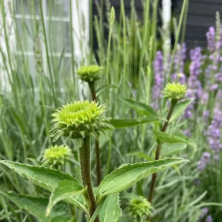 Bla Marine Nad Morzem