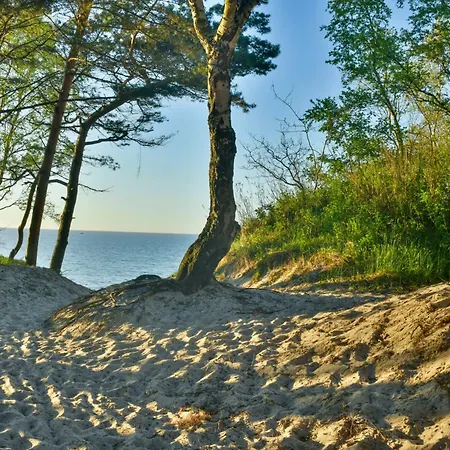 Bla Marine Nad Morzem