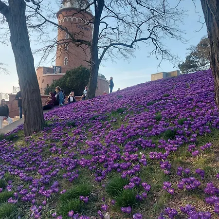 Деревянный коттедж Bla Marine Nad Morzem Грзибово
