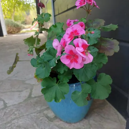 Bla Marine Nad Morzem Lodge Grzybowo (West Pomeranian)