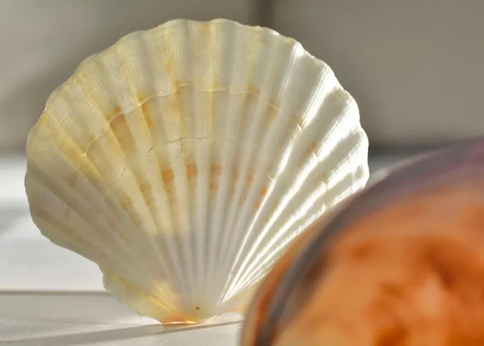 Bla Marine Nad Morzem *