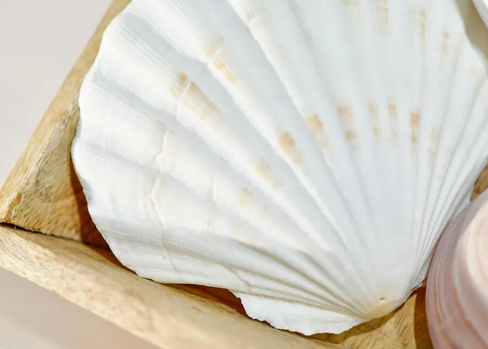 Bla Marine Nad Morzem 山林小屋