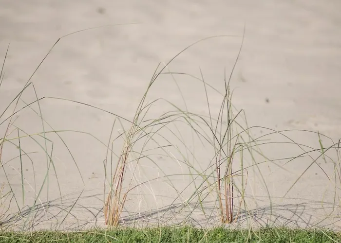 Bla Marine Nad Morzem 格里兹鲍