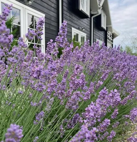 Bla Marine Nad Morzem Domek letniskowy