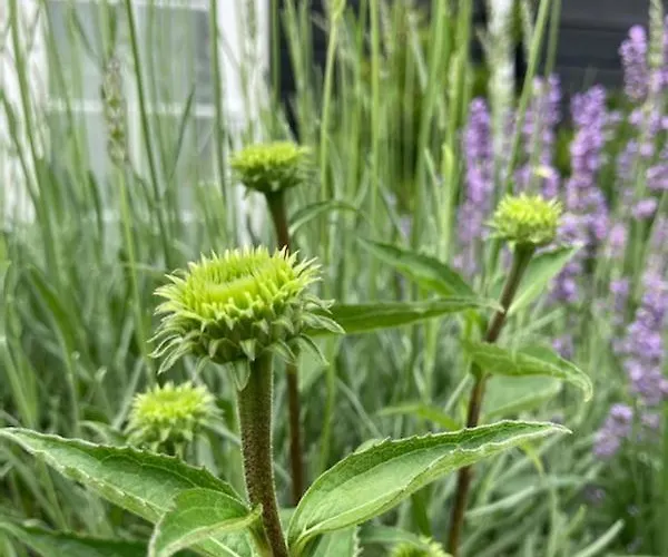 Bla Marine Nad Morzem