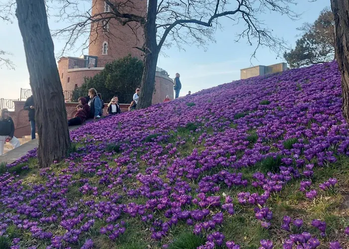 山林小屋 Bla Marine Nad Morzem 格里兹鲍