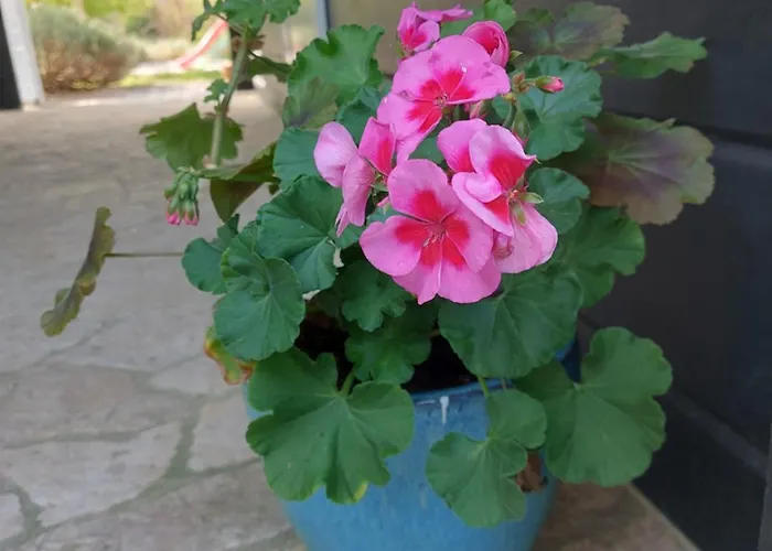 Bla Marine Nad Morzem Lodge Grzybowo (West Pomeranian)