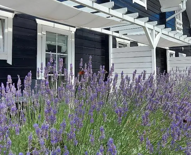 Bla Marine Nad Morzem Lodge